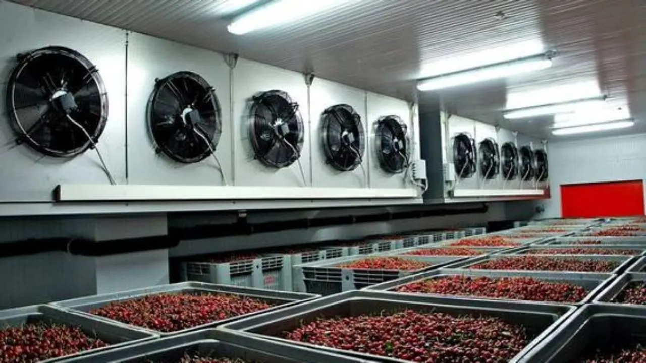 Заморожені ягоди