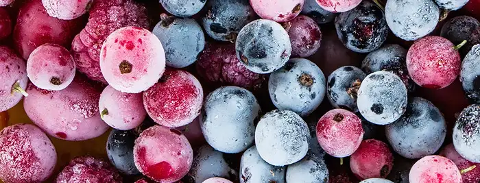 IQF тунель швидкого індивідуального заморожування продуктів